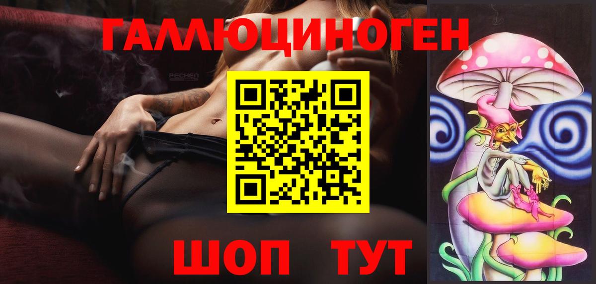 Галлюциногенные грибы Psilocybe Усинск